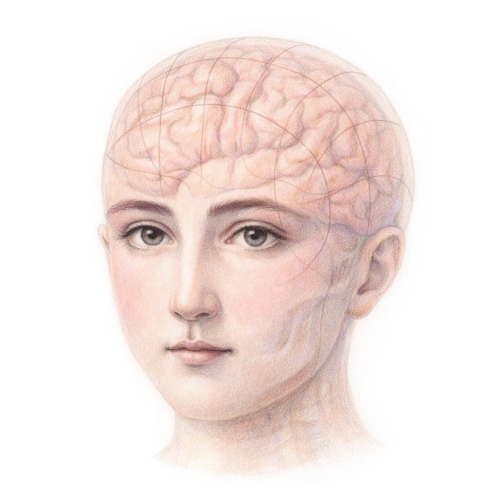 Phrenology Brain